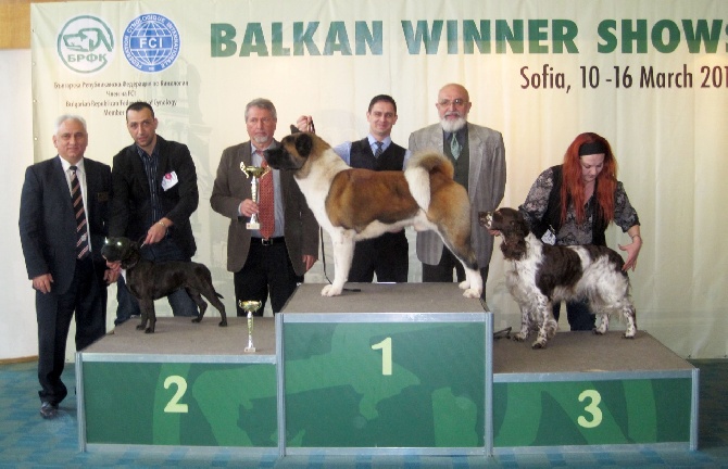 marathon au balkans winner show